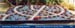 Amazing_Sea_Monkeys-05