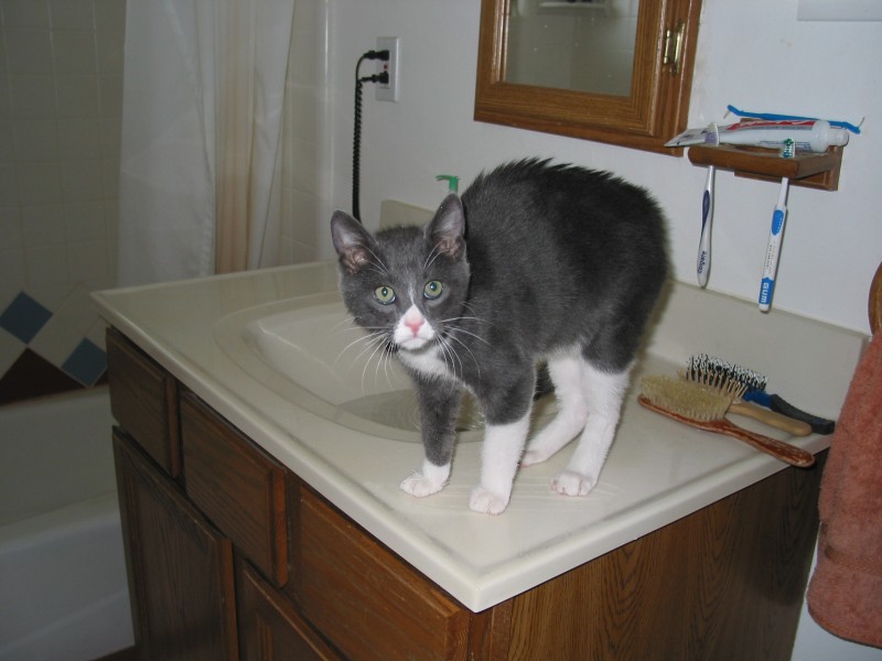 This image has been resized