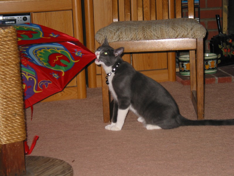 This image has been resized