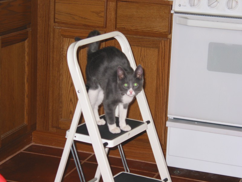 This image has been resized