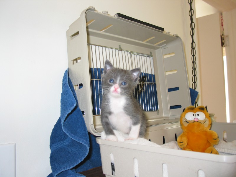 This image has been resized