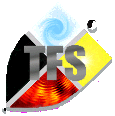 TFS